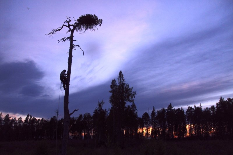 Vaalan Jylhänkangas 20.7.2011 klo 23.30